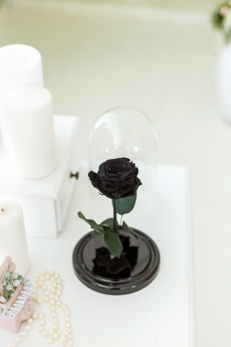 Черная роза в колбе 22 см, Noir Sable Mini