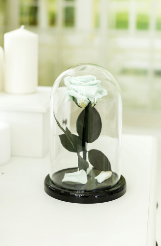 Ментоловая роза в колбе 22 см, Mint Mini