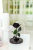 Черная роза в колбе 22 см, Noir Sable Mini