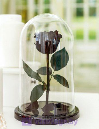 Роза в колбе 28 см, Noir Sable Elegant