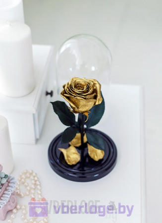 Золотая роза в колбе 22 см, Gold Edition