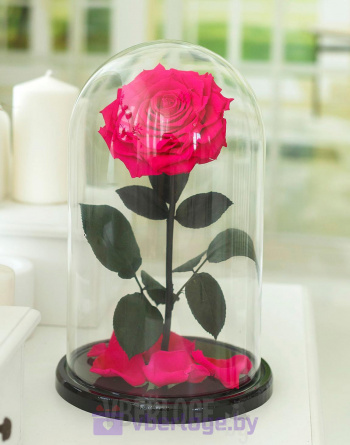 Ярко-розовая роза в колбе 32 см, Magenta Vip