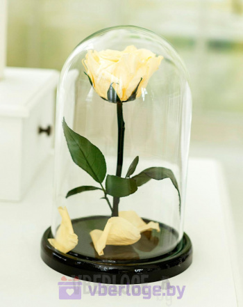 Роза в колбе цвета шампань 22 см, Shampan Mini