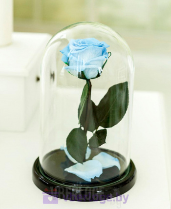 Голубая роза в колбе 22 см, Baby Blue Mini