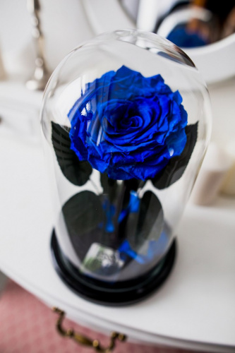 Синяя роза в колбе 28 см, Royal Blue King
