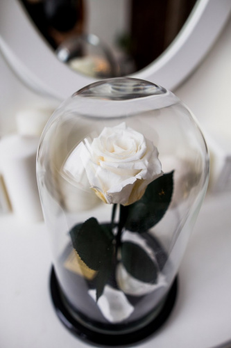 Роза в колбе 28 см, White Pearl Premium