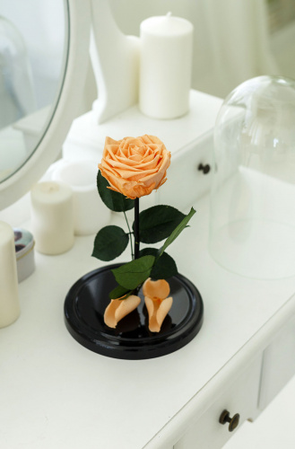 Роза в колбе 28 см, Peach Premium