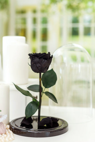 Роза в колбе 28 см, Noir Sable Elegant