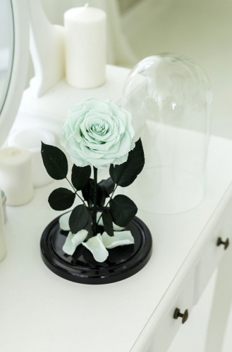 Минтоловая роза в колбе 28 см, Mint King