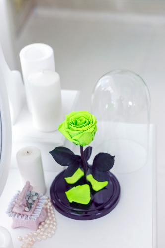 Роза в колбе 28 см, Emerald Premium