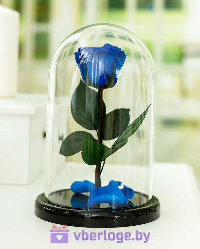 Синяя вечная роза 22 см, Royal Blue Mini