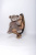 Плюшевый медведь Тонни 110 см Бурый с сердечком на голове