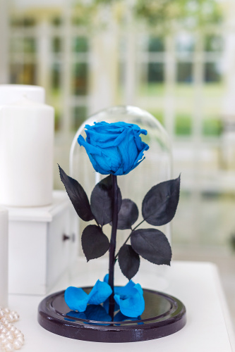 Бирюзовая Роза в колбе 28 см, Turquoise Premium