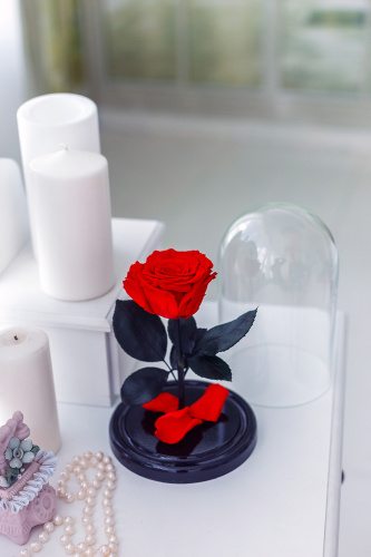 Красная роза в колбе 22 см, Romantic Red Mini