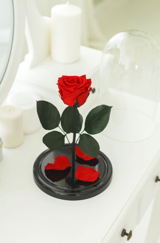 Красная роза в колбе 28 см, Romantic Red Elegant