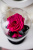 Ярко-розовая роза в колбе 28 см, Magenta King