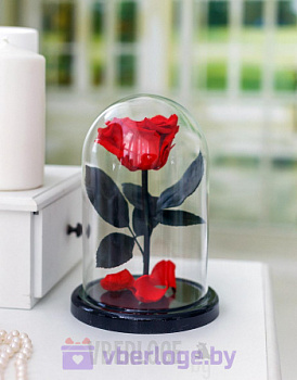 Красная роза в колбе 22 см, Romantic Red Mini