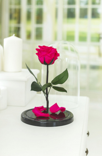 Роза в колбе 28 см, Magenta Premium