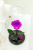 Фиолетовая вечная роза 22 см, Dark Violett Mini