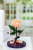 Персиковая роза в колбе 22 см, Peach Mini