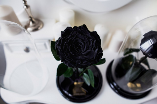 Черная роза в колбе 28 см, Noir Sable King