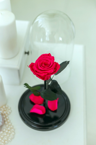 Роза в колбе 28 см, Magenta Elegant