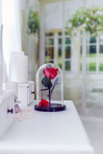 Красная роза в колбе 22 см, Romantic Red Mini