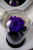 Фиолетовая роза в колбе 28 см, Dark Violett King