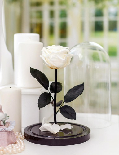 Роза в колбе 28 см, White Pearl Elegant