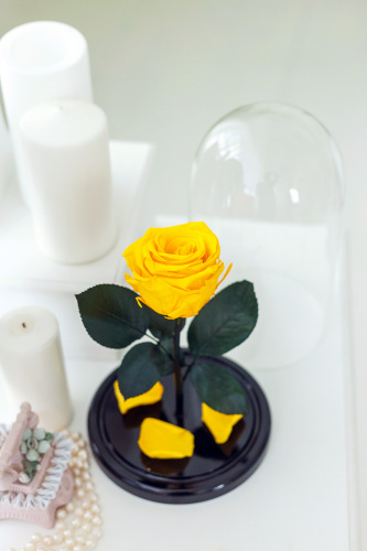 Желтая роза в колбе 22 см, Sunny Mini