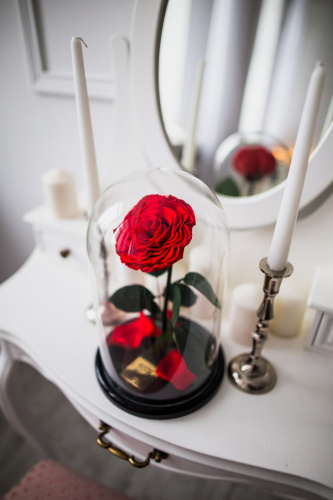 Красная роза в колбе 32 см, Romantic Red Vip