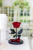 Бордовая роза в колбе 22 см, Maroon