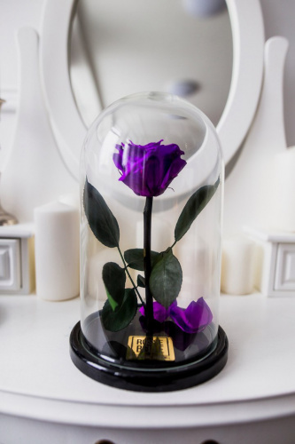 Роза в колбе 28 см, Dark Violet Premium