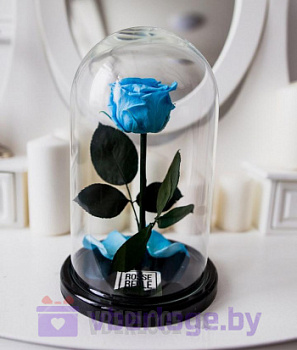 Роза в колбе 28 см, Baby Blue Premium