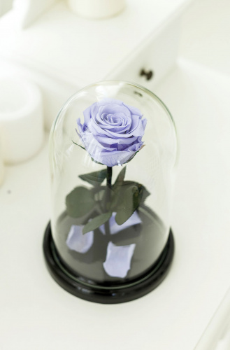 Сиреневая вечная роза 22 см, Lilac Mini