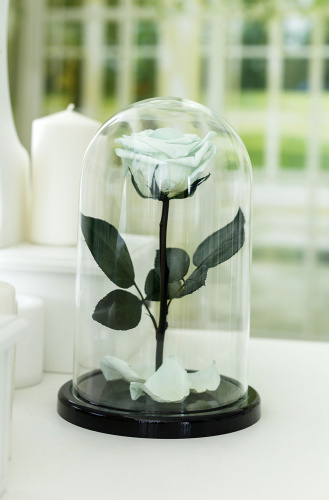 Ментоловая Роза в колбе 28 см, Mint Premium