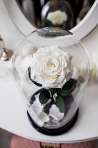 Белая роза в колбе 28 см, White Pearl King