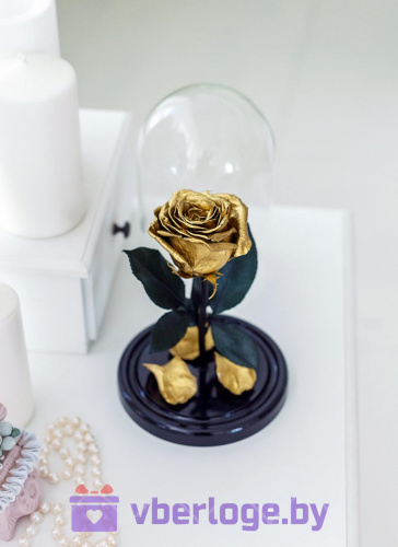 Золотая роза в колбе 22 см, Gold Edition