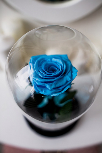 Роза в колбе 28 см, Baby Blue Premium