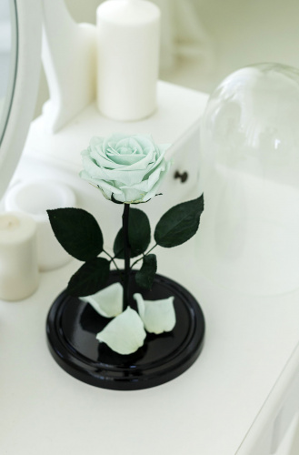 Ментоловая Роза в колбе 28 см, Mint Premium