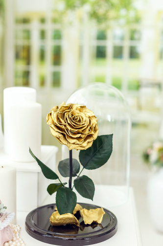 Золотоая роза в колбе 28 см, Gold Edition King