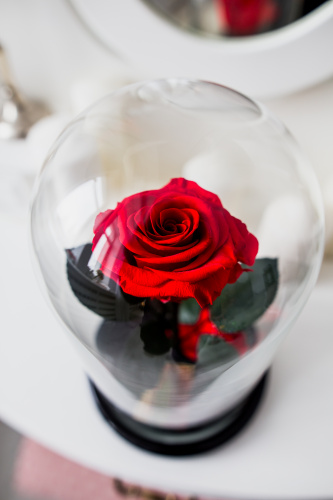 Роза в колбе 28 см, Romantic Red Premium