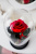 Роза в колбе 28 см, Romantic Red Premium