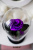 Роза в колбе 28 см, Dark Violet Premium