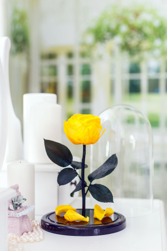 Желтая роза в колбе 22 см, Sunny Mini
