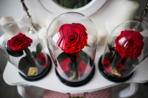 Красная роза в колбе 28 см, Romantic Red King