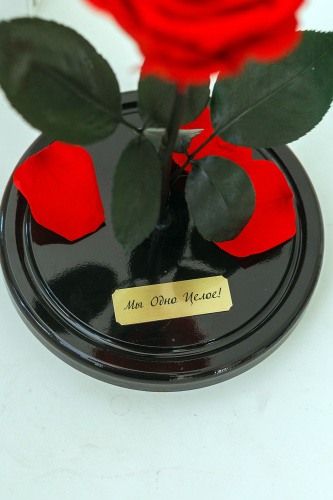 Металлическая гравировка для розы в колбе