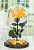 Желтая роза в колбе 32 см, Sunny Vip