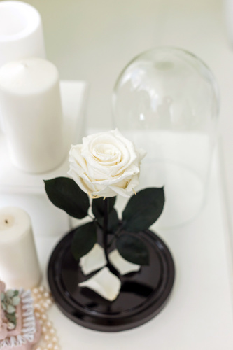 Роза в колбе 28 см, White Pearl Elegant