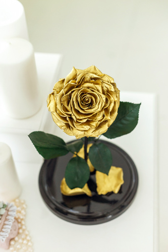 Золотоая роза в колбе 28 см, Gold Edition King
